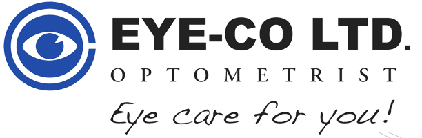 Eye-co Logo